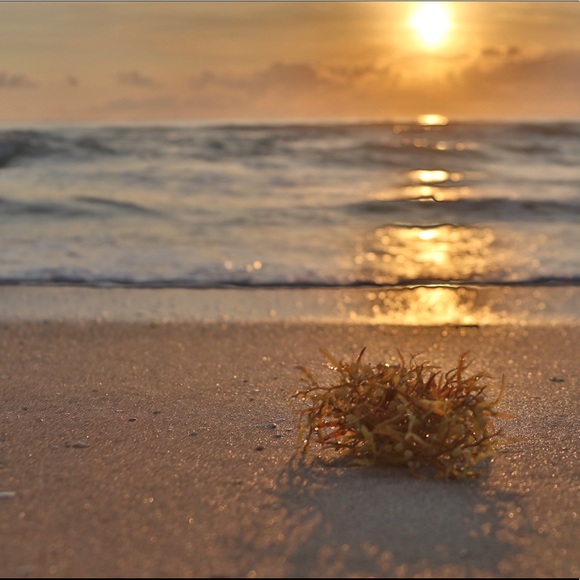 Meet your Posher, Carly - Picture 1 of 1